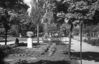 Имя файла=1954__leto_0016.jpg
Размер файла=481КБ
Размеры=1802x1164
Дата=%775 %26, %2010 1954__leto_0016.jpg