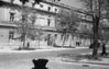 Имя файла=1954__leto_0017f.jpg
Размер файла=501КБ
Размеры=1799x1149
Дата=%775 %26, %2010 1954__leto_0017f.jpg