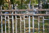 Имя файла=DSC_0125.JPG
Размер файла=1104КБ
Размеры=3456x2304
Дата=%522 %07, %2012 DSC_0125.JPG