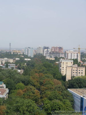 Французский бульвар
