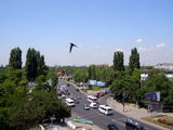 Имя файла=P6090134.jpg
Размер файла=132КБ
Размеры=1024x768
Дата=%986 %11, %2008 P6090134.jpg