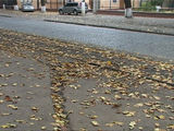 Имя файла=F-b.jpg
Размер файла=112КБ
Размеры=768x576
Дата=%897 %23, %2007 F-b.jpg