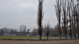 Имя файла=DSC_1634.JPG
Размер файла=993КБ
Размеры=3753x2123
Дата=%865 %24, %2014 DSC_1634.JPG