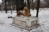 Имя файла=DSC_4186.JPG
Размер файла=1594КБ
Размеры=3351x2226
Дата=%887 %02, %2014 DSC_4186.JPG