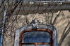 Имя файла=DSC_8113.JPG
Размер файла=121КБ
Размеры=640x425
Дата=%717 %12, %2011 DSC_8113.JPG