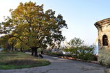 Имя файла=Park_Shevchenko_Osen.JPG
Размер файла=3010КБ
Размеры=4288x2848
Дата=%511 %16, %2013 Park_Shevchenko_Osen.JPG