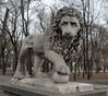 Имя файла=Starosen_Lev_23.JPG
Размер файла=2343КБ
Размеры=3203x2848
Дата=%462 %07, %2012 Starosen_Lev_23.JPG