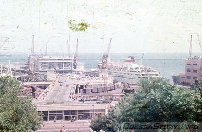 1_281929.jpg