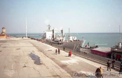 5_28729.jpg