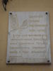 Имя файла=DSC09521.JPG
Размер файла=504КБ
Размеры=2112x2816
Дата=%436 %02, %2012 DSC09521.JPG